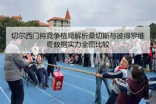 切尔西门将竞争格局解析桑切斯与彼得罗维奇数据实力全面比较 | kaiyun